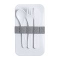 Ayam Lunch box antibactérien