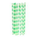 BamStraw Set de pailles