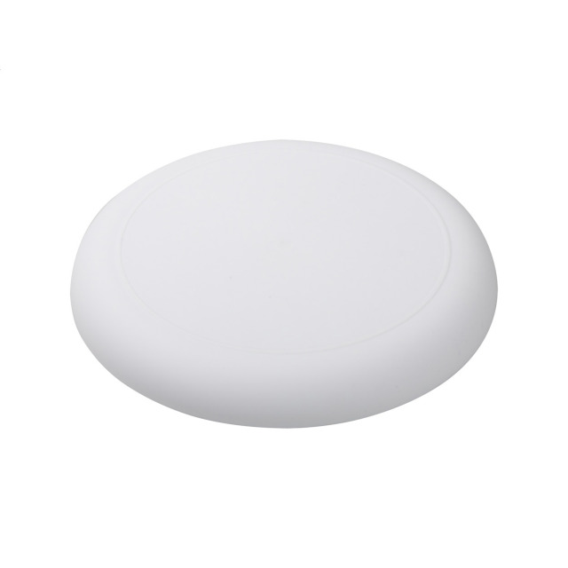 Horizon Frisbee