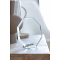Champion Trophée
