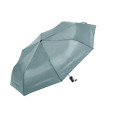 Cirros Parapluie