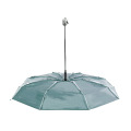 Cirros Parapluie