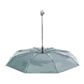 Cirros Parapluie