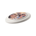 Ecofly Frisbee