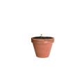 Flocca capsule de graines de fleurs