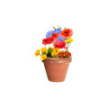 Flocca capsule de graines de fleurs