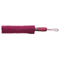 Pangan Parapluie