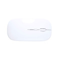 Rabick Souris optique RABS