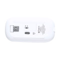 Rabick Souris optique RABS