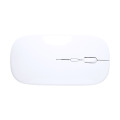 Rabick Souris optique RABS