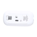 Rabick Souris optique RABS