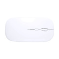 Rabick Souris optique RABS