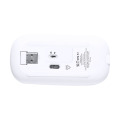 Rabick Souris optique RABS