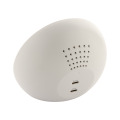 Rabolarm Réveil chargeur sans fil