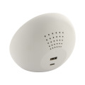 Rabolarm R&eacute;veil chargeur sans fil