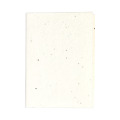 Semilla Bloc-notes adh&eacute;sif