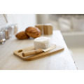 Taleggio Service &agrave; fromage